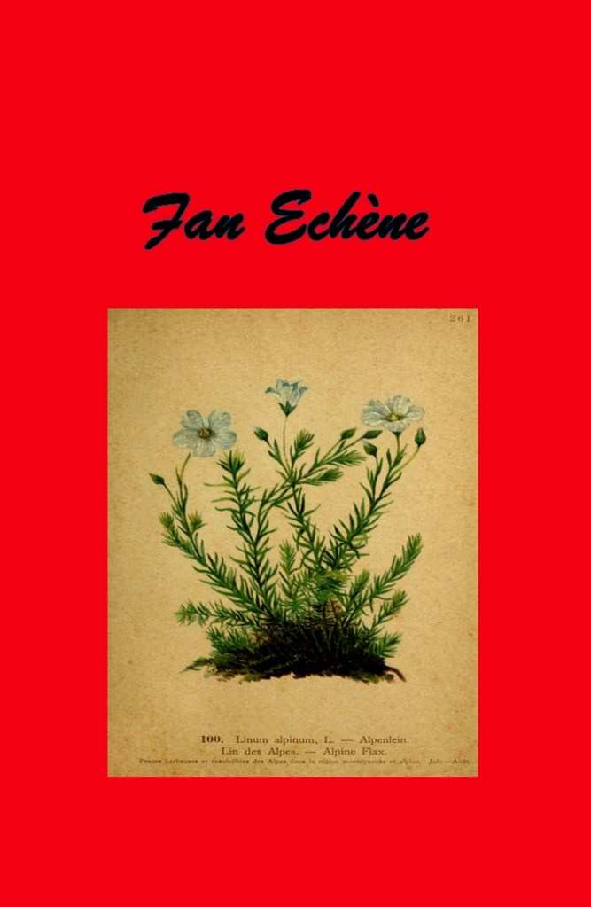 Cette image a un attribut alt vide ; le nom du fichier est carte-fan-3.jpg